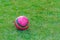 Pink soccer ball on grass field.