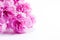 Pink soft spring flowers bouquet on white background