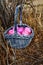 Pink speckled Easter eggs in basket amid brown grasses