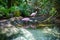 Pink spoonbills at Florida Aquarium