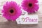 Pink Spring Gerbera, Label, Text Peace