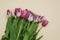 Pink Spring Tulip Flower Boquet Isoalted on Dark Background with Copy Paste. Fresh Beautiful Flowers