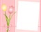 Pink Spring Tulips Note Paper Background