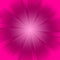 Pink starburst background