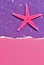 Pink starfish on abstract glitter background