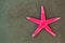 Pink starfish on a blackboard