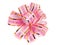 Pink stripy holiday ribbon for presents and gifts