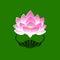 Pink stylized image of a lotus flower on a green background. The symbol of commitment to the Buddha in Japan