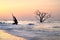 Pink Sunrise At Botany Bay Boneyard South Carolina Coast