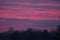 Pink Sunrise cirrostratus clouds over dark treeline