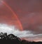 Pink sunrise with rainbow in front of the colorful clouds with mountain tops and eucalyptus gum trees