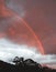 Pink sunrise with rainbow in front of the colorful clouds with mountain tops and eucalyptus gum trees