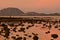 Pink sunrise sky reflected in rocky water shore, solitary man using binoculars, low tide Bahia Los Angeles, Baja, Mexico