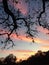 Pink Sunset Clouds in Texas