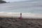 pink swan-shaped children's swimming float on the beach