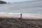 pink swan-shaped children's swimming float on the beach