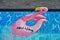 Pink Swan Swimming, Pavement Art