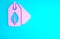 Pink Tag with leaf symbol icon isolated on blue background. Banner, label, tag, logo, sticker for eco green. Minimalism