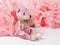 Pink teddy bear and paper decor, pom-pom