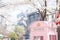 Pink Telephone Booth in China With Blooming Sakura Tree at spring season