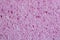 Pink textured porous background. Rubber sponge macro photo. Copy space