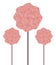 Pink three balls of topiary made from beautiful pink flowers on a brown stalk of a high trunk isolated on white background postcar