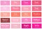 Pink Tone Color Shade Background with Code and Name