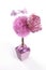 Pink topiary with butterflies and flower