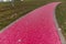 pink track background pattern direction jogging road lawn