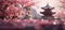 a pink tree and pagoda with tree stock footage