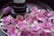 Pink tulip blackstone woodsink spa massage relax therapy