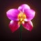 pink tulip on a dark background with bokeh effect Generative AI