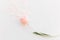 Pink tulip flat lay with soft hearts on white background, space for text. Stylish minimalistic spring image. Happy womens day.