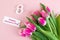 Pink Tulip flower and 8th Number on pink background with copy space for text. Love, Equal and International Women day concept