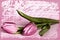 Pink tulip illustration