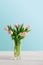 Pink tulips bouquet on blue background