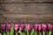 Pink, tulips bunch on dark barn wood planks