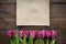 Pink, tulips bunch on dark barn wood planks background