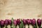 Pink, tulips bunch on light plywood background
