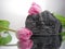 pink tulips with rock on mirror.