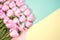 Pink tulips on thebright colorful background. Flat lay, top view. Valentines background. Horizontal, copy space for text