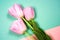 Pink tulips on thebright colorful background. Flat lay, top view. Valentines background. Horizontal, copy space for text