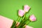 Pink tulips on thebright colorful background. Flat lay, top view. Valentines background. Horizontal, copy space for text