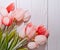 Pink tulips with a white background