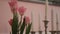 Pink tulips and white candles on table in living room.