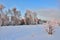 Pink twilight in the winter forest - beautiful winter landscape