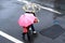 Pink Umbrella On A San Francisco Street