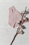 Pink underpants with cotton brunch on wooden background, closeup