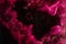 Pink universe abstract background, swirling galaxy smoke, alchemy dance of love and passion. Mysterious esoteric outer space, exop
