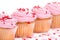 Pink Valentines Day cupcakes with sprinkles